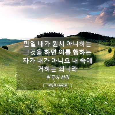 Picture 05 - 로마서 7:20 KOR - 만일 내가 원치 아니하는 그것을 - Bible Verse Picture