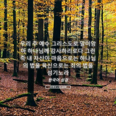 Picture 05 - 로마서 7:25 KOR - 우리 주 예수 그리스도로 말미암아 - Bible Verse Picture