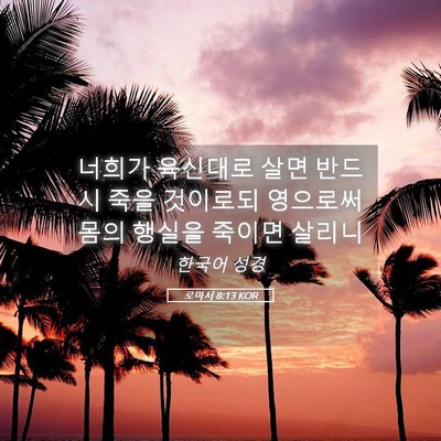 Picture 05 - 로마서 8:13 KOR - 너희가 육신대로 살면 반드시 죽을 - Bible Verse Picture