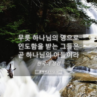 Picture 05 - 로마서 8:14 KOR - 무릇 하나님의 영으로 인도함을 받는 - Bible Verse Picture