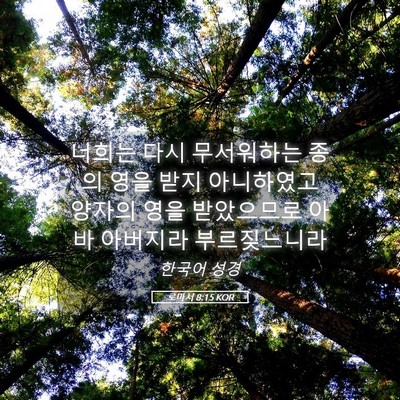 Picture 05 - 로마서 8:15 KOR - 너희는 다시 무서워하는 종의 영을 - Bible Verse Picture