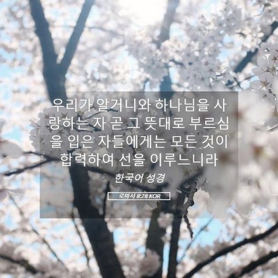 Picture 05 - 로마서 8:28 KOR - 우리가 알거니와 하나님을 사랑하는 - Bible Verse Picture