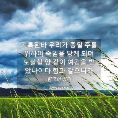 Picture 05 - 로마서 8:36 KOR - 기록된바 우리가 종일 주를 위하여 - Bible Verse Picture
