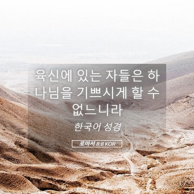 Picture 05 - 로마서 8:8 KOR - 육신에 있는 자들은 하나님을 - Bible Verse Picture