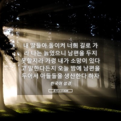 Picture 05 - 룻기 1:12 KOR - 내 딸들아 돌이켜 너희 길로 가라 - Bible Verse Picture