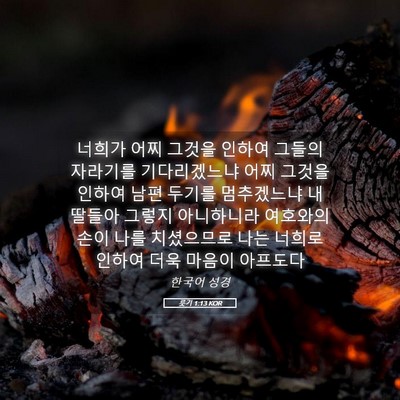 Picture 05 - 룻기 1:13 KOR - 너희가 어찌 그것을 인하여 그들의 - Bible Verse Picture