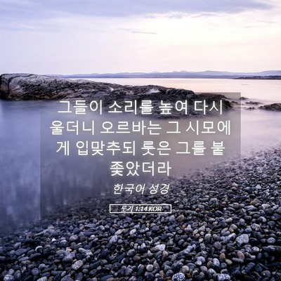 Picture 05 - 룻기 1:14 KOR - 그들이 소리를 높여 다시 울더니 - Bible Verse Picture