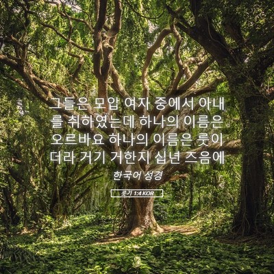 Picture 05 - 룻기 1:4 KOR - 그들은 모압 여자 중에서 아내를 - Bible Verse Picture