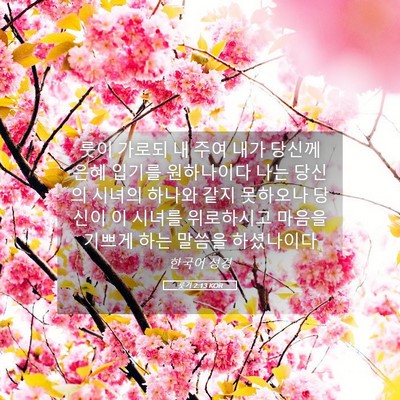 Picture 05 - 룻기 2:13 KOR - 룻이 가로되 내 주여 내가 당신께 - Bible Verse Picture
