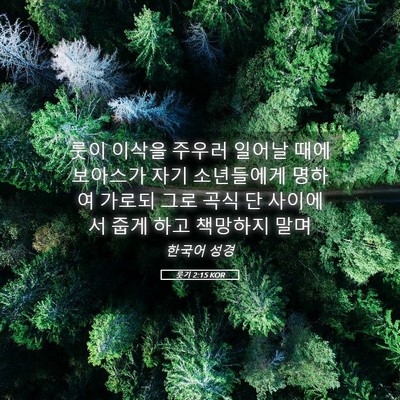 Picture 05 - 룻기 2:15 KOR - 룻이 이삭을 주우러 일어날 때에 - Bible Verse Picture