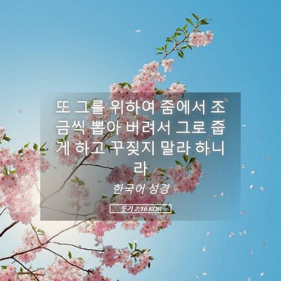 Picture 05 - 룻기 2:16 KOR - 또 그를 위하여 줌에서 조금씩 뽑아 - Bible Verse Picture