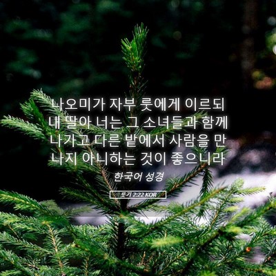 Picture 05 - 룻기 2:22 KOR - 나오미가 자부 룻에게 이르되 내 - Bible Verse Picture