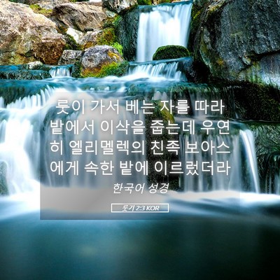 Picture 05 - 룻기 2:3 KOR - 룻이 가서 베는 자를 따라 밭에서 - Bible Verse Picture