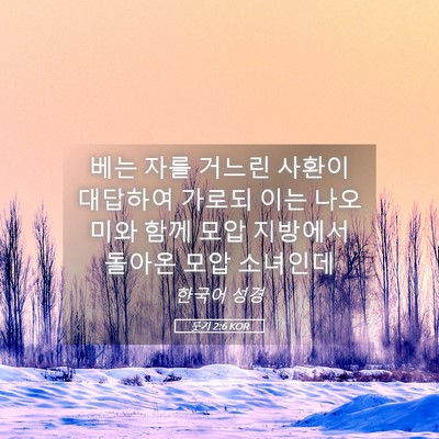 Picture 05 - 룻기 2:6 KOR - 베는 자를 거느린 사환이 대답하여 - Bible Verse Picture