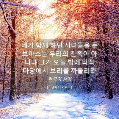 Picture 05 - 룻기 3:2 KOR - 네가 함께 하던 시녀들을 둔 - Bible Verse Picture