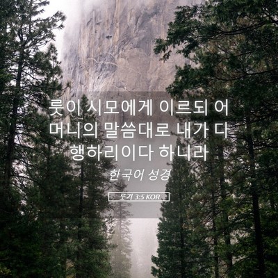 Picture 05 - 룻기 3:5 KOR - 룻이 시모에게 이르되 어머니의 - Bible Verse Picture