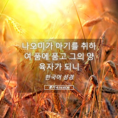 Picture 05 - 룻기 4:16 KOR - 나오미가 아기를 취하여 품에 품고 - Bible Verse Picture