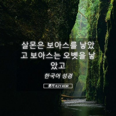 Picture 05 - 룻기 4:21 KOR - 살몬은 보아스를 낳았고 보아스는 - Bible Verse Picture