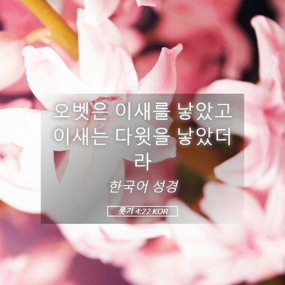 Picture 05 - 룻기 4:22 KOR - 오벳은 이새를 낳았고 이새는 다윗을 - Bible Verse Picture
