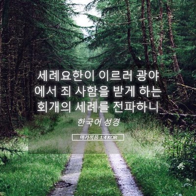 Picture 05 - 마가복음 1:4 KOR - 세례요한이 이르러 광야에서 죄 - Bible Verse Picture