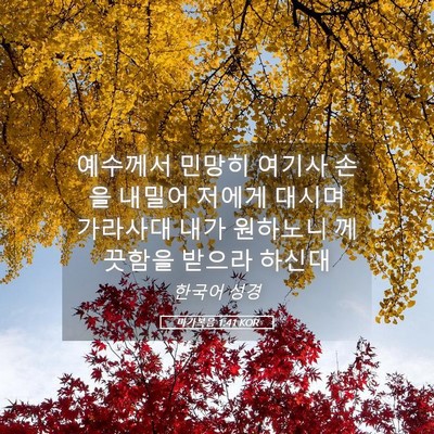 Picture 05 - 마가복음 1:41 KOR - 예수께서 민망히 여기사 손을 내밀어 - Bible Verse Picture