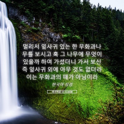 Picture 05 - 마가복음 11:13 KOR - 멀리서 잎사귀 있는 한 무화과나무를 - Bible Verse Picture