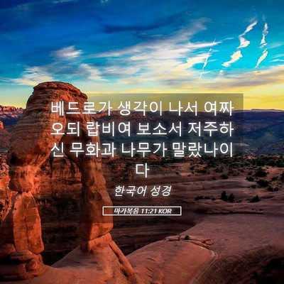 Picture 05 - 마가복음 11:21 KOR - 베드로가 생각이 나서 여짜오되 - Bible Verse Picture