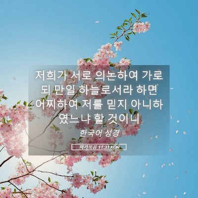 Picture 05 - 마가복음 11:31 KOR - 저희가 서로 의논하여 가로되 만일 - Bible Verse Picture