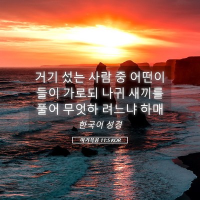 Picture 05 - 마가복음 11:5 KOR - 거기 섰는 사람 중 어떤이들이 - Bible Verse Picture