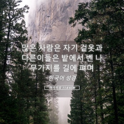 Picture 05 - 마가복음 11:8 KOR - 많은 사람은 자기 겉옷과 다른이들은 - Bible Verse Picture