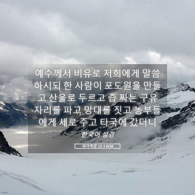 Picture 05 - 마가복음 12:1 KOR - 예수께서 비유로 저희에게 - Bible Verse Picture