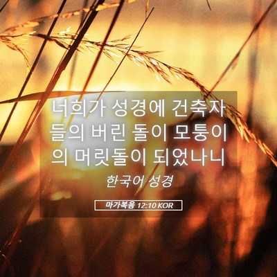 Picture 05 - 마가복음 12:10 KOR - 너희가 성경에 건축자들의 버린 돌이 - Bible Verse Picture