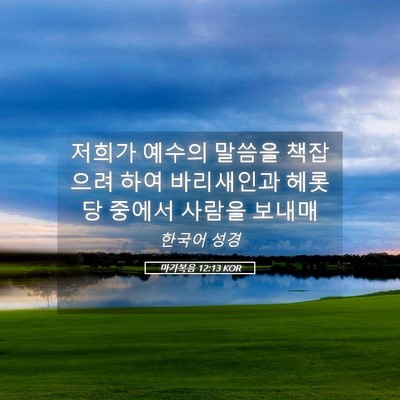 Picture 05 - 마가복음 12:13 KOR - 저희가 예수의 말씀을 책잡으려 하여 - Bible Verse Picture