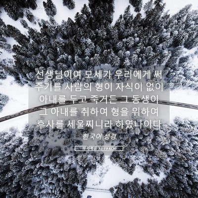 Picture 05 - 마가복음 12:19 KOR - 선생님이여 모세가 우리에게 써 - Bible Verse Picture