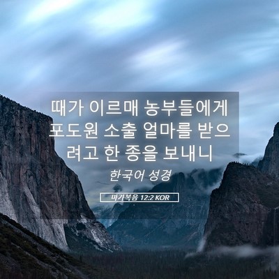 Picture 05 - 마가복음 12:2 KOR - 때가 이르매 농부들에게 포도원 소출 - Bible Verse Picture