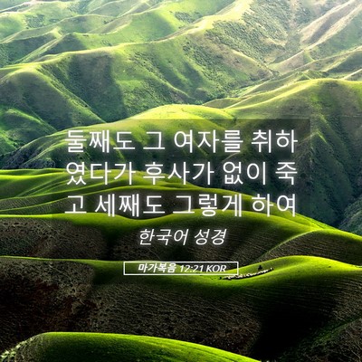 Picture 05 - 마가복음 12:21 KOR - 둘째도 그 여자를 취하였다가 후사가 - Bible Verse Picture