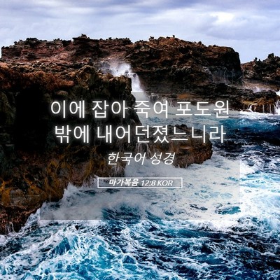 Picture 05 - 마가복음 12:8 KOR - 이에 잡아 죽여 포도원 밖에 - Bible Verse Picture