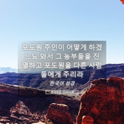Picture 05 - 마가복음 12:9 KOR - 포도원 주인이 어떻게 하겠느뇨 와서 - Bible Verse Picture