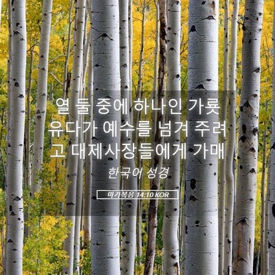Picture 05 - 마가복음 14:10 KOR - 열 둘 중에 하나인 가룟 유다가 - Bible Verse Picture