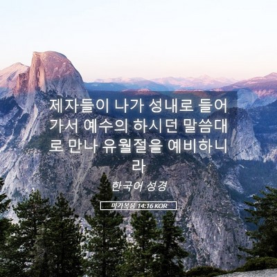 Picture 05 - 마가복음 14:16 KOR - 제자들이 나가 성내로 들어가서 - Bible Verse Picture