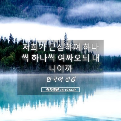 Picture 05 - 마가복음 14:19 KOR - 저희가 근심하여 하나씩 하나씩 - Bible Verse Picture