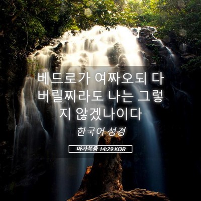 Picture 05 - 마가복음 14:29 KOR - 베드로가 여짜오되 다 버릴찌라도 - Bible Verse Picture