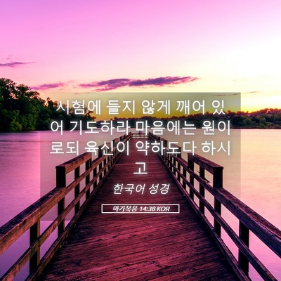 Picture 05 - 마가복음 14:38 KOR - 시험에 들지 않게 깨어 있어 - Bible Verse Picture