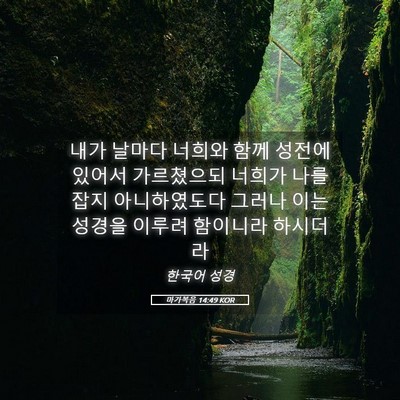Picture 05 - 마가복음 14:49 KOR - 내가 날마다 너희와 함께 성전에 - Bible Verse Picture