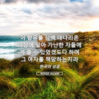 Picture 05 - 마가복음 14:5 KOR - 이 향유를 삼백 데나리온 이상에 - Bible Verse Picture