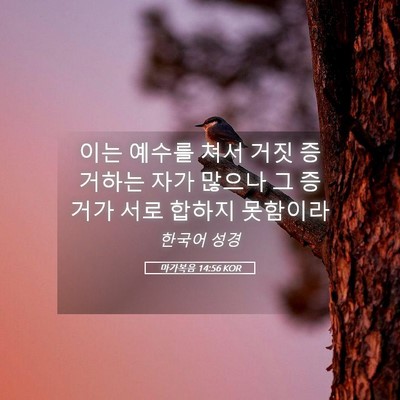 Picture 05 - 마가복음 14:56 KOR - 이는 예수를 쳐서 거짓 증거하는 - Bible Verse Picture