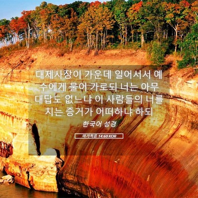 Picture 05 - 마가복음 14:60 KOR - 대제사장이 가운데 일어서서 - Bible Verse Picture