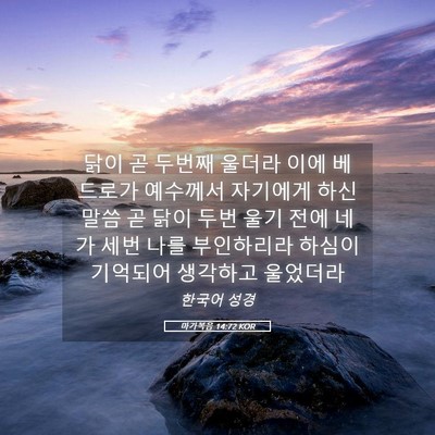 Picture 05 - 마가복음 14:72 KOR - 닭이 곧 두번째 울더라 이에 - Bible Verse Picture