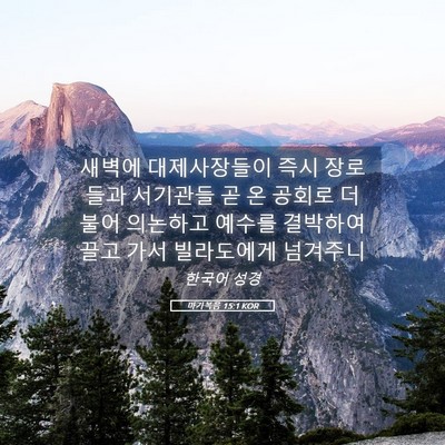 Picture 05 - 마가복음 15:1 KOR - 새벽에 대제사장들이 즉시 장로들과 - Bible Verse Picture
