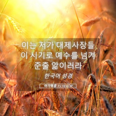 Picture 05 - 마가복음 15:10 KOR - 이는 저가 대제사장들이 시기로 - Bible Verse Picture